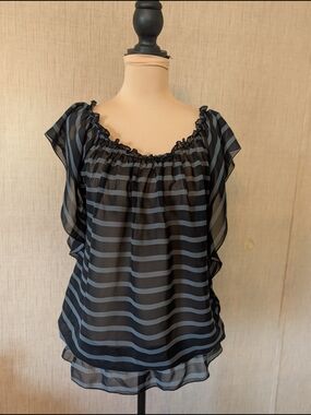 feathers Sheer Striped Off-Shoulder Top in Black and Gray